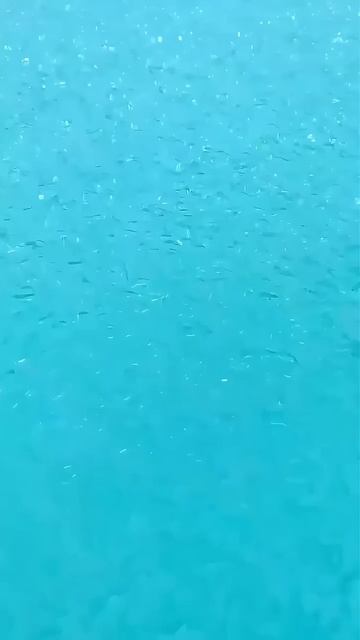 Невероятная красота!