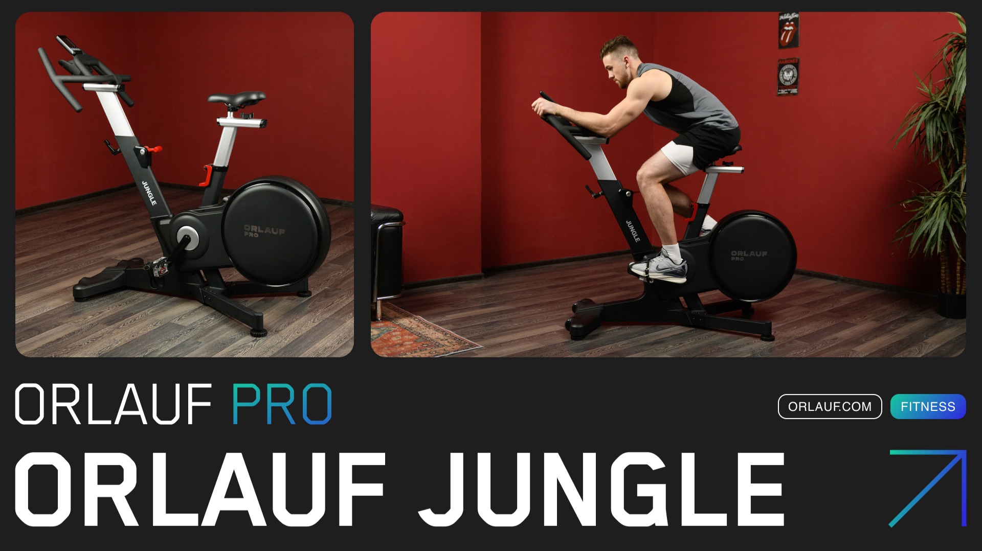 Orlauf Pro Jungle — профессиональный спин-байк с неодимовыми магнитами смотреть онлайн