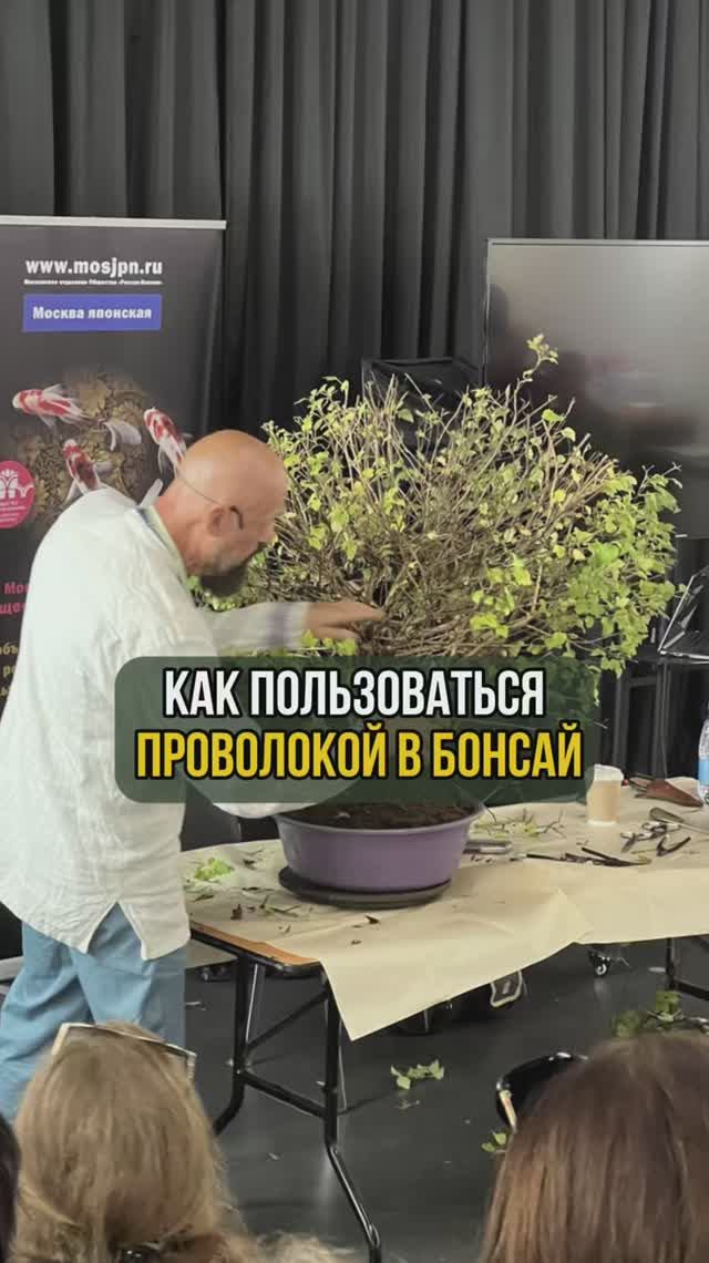 Как пользоваться проволокой в бонсай смотреть онлайн