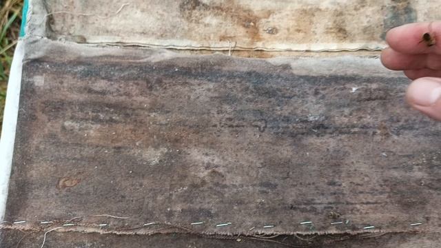 Зимовка нуклеусы на 300 смотреть онлайн