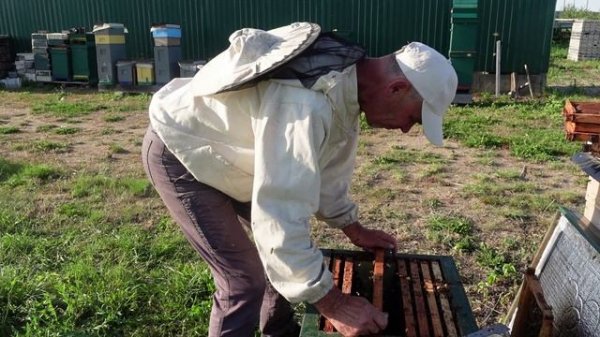 работа с семьями которые отроились