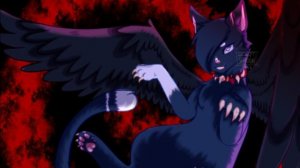 Коты воители /  Бич / Подборка из Тик - тока /