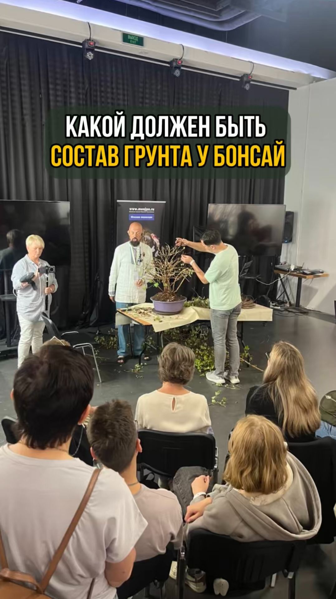 Какой должен быть состав грунта у бонсай смотреть онлайн