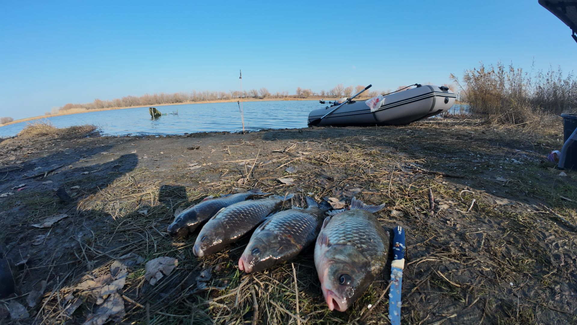 Рыбалка в Астраханской области ноябрь18 число 2025. смотреть онлайн