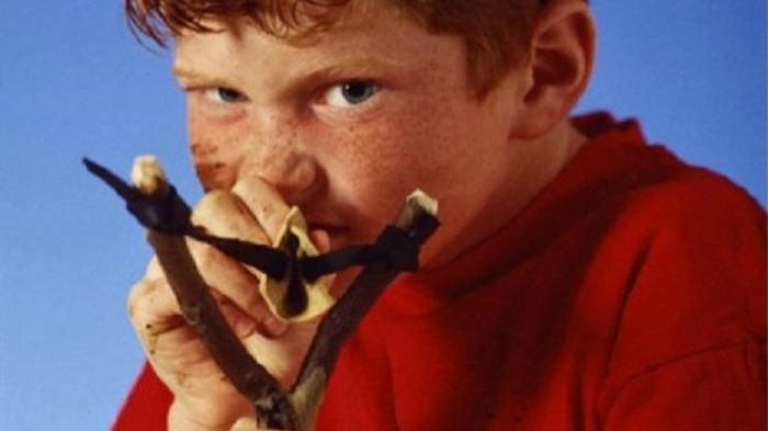 Люди хорошему не научат.