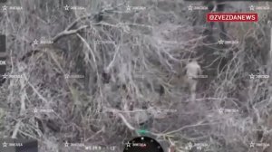 😡Всушники заставляли мирных жителей Доброполья ходить по минным полям, чтобы расчистит😡Всушники за