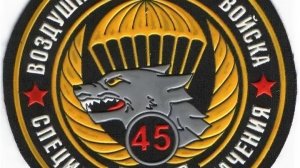 45-му гвардейскому полку ВДВ