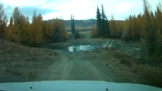 По Курайской степи