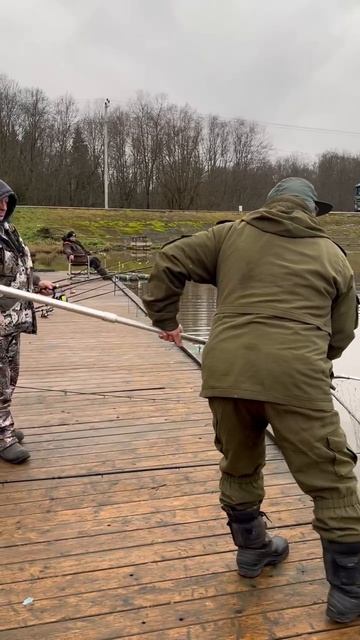 Поимки форели на донки смотреть онлайн