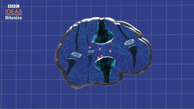 How to make better decisions _ 3 quick tips _ BBC Ideas смотреть онлайн