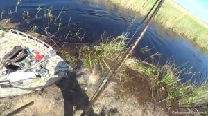 Вернулся на этот ручеёк.А тут такие кабаны.Рыбалка на паук подъёмник.