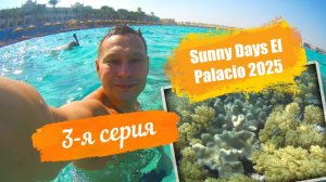Sunny Days El Palacio 4*. Отпуск Египет Осень-2025. 3-я серия