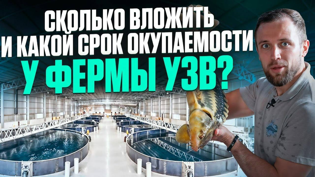 Деньги, Сбыт и Здание для УЗВ. ТОП 10 Вопросов про Ферму УЗВ и Рыбный Бизнес... смотреть онлайн