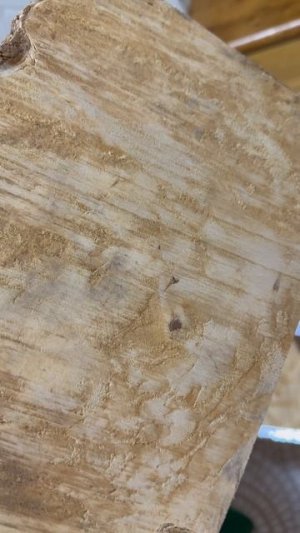 Что можно сделать из карагача✅