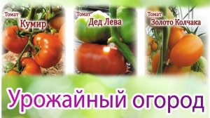 Универсальный набор томатов «Урожайный огород»