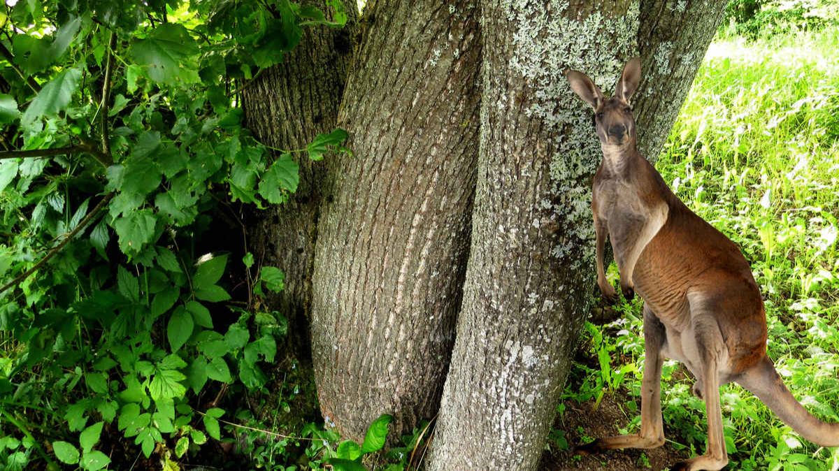Распогодилось смотреть онлайн
