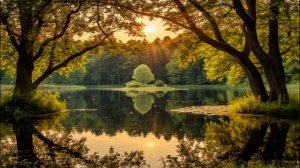 Озеро в лесу