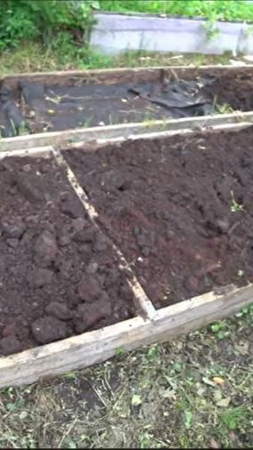 Мне нравятся клубничные грядки, ограниченные досками смотреть онлайн