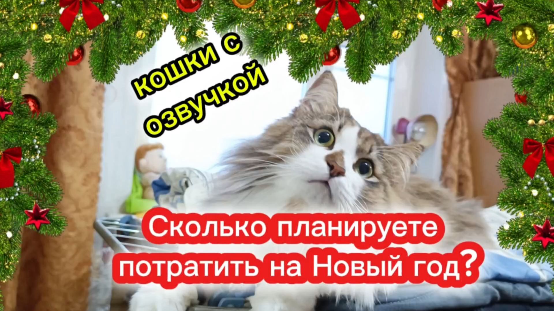 Кошки с озвучкой. смотреть онлайн