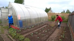 6 соток в мае 2021 года. Посадили капусту Романеско, Килатон, Сахарная голова