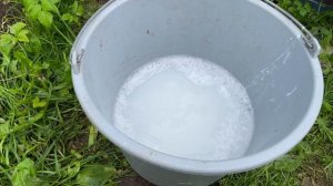 Обработки ГОРТЕНЗИЙ от БОЛЕЗНЕЙ и ВРЕДИТЕЛЕЙ [5 вариантов]