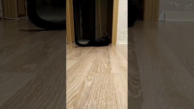 Ночный игры смотреть онлайн