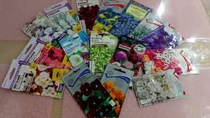 Какие однолетние цветы хочу вырастить на сезон 2026 г.🌸 Пошуршим?😉