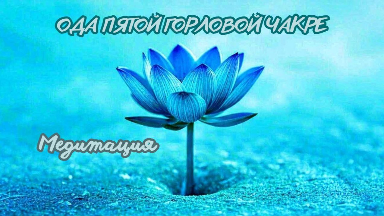 Ода пятой чакре. Медитация. #вселеннаяя , #душа, #чакра, #энергетическаясистема