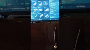 Играем на PS5 2 часть