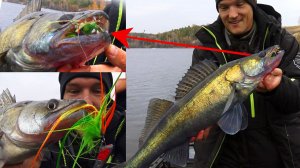 Я ПОНЯЛ! ПОЧЕМУ ты не можешь ПОЙМАТЬ НА ПЕТУХА! СТРИМЕР СИБИРСКИЙ ПЕТУХ РУЛИТ! НАБОРЫ  Sibiria.pro