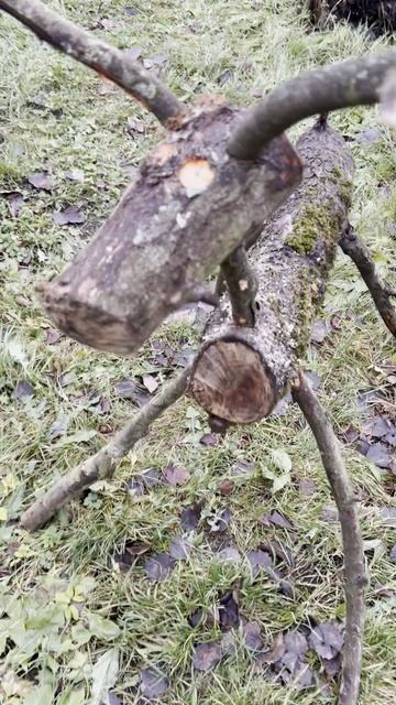 Олень из дерева своими руками #diy