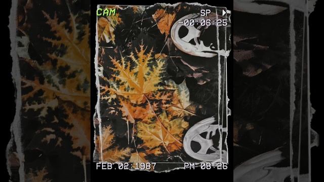 Some Lonesome — all good. (bonus ver.)