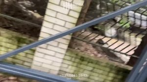 Арочный навес для автомобиля (кровля из поликарбоната)