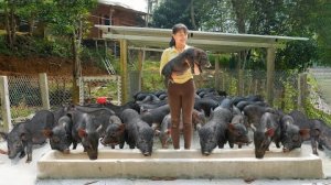 Покупаю поросят для разведения. Продаю поросят и утят на местном рынке. Жизнь во Вьетнаме