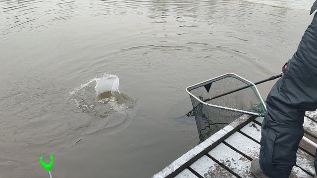 Основной водоём. Дуплет. смотреть онлайн