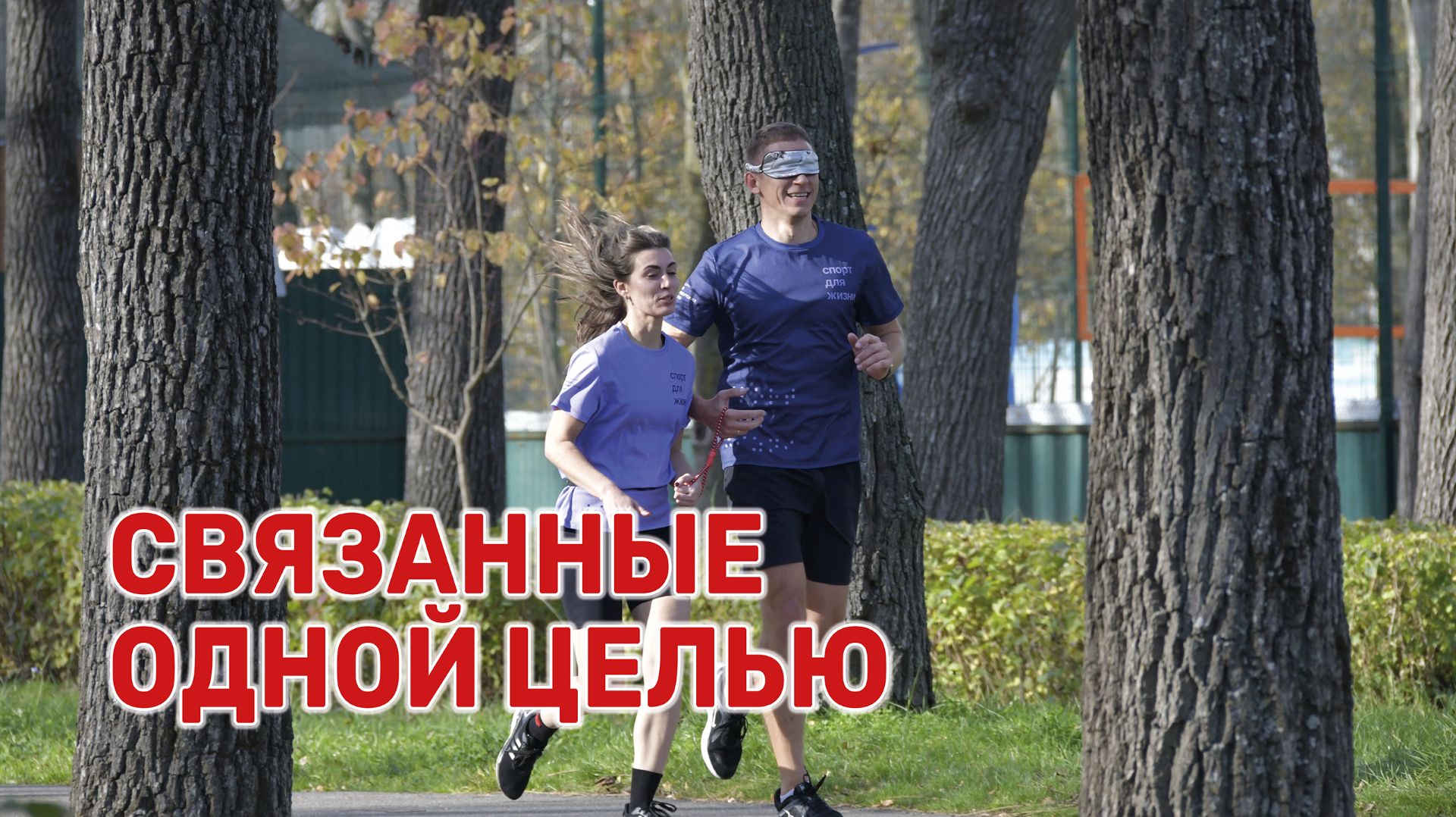 В Краснодаре провели бесплатный тренинг по обучению спортивных волонтеров смотреть онлайн