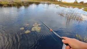 рыбалка на реке Медведица. Красивая река в Тверской области. часть 1
