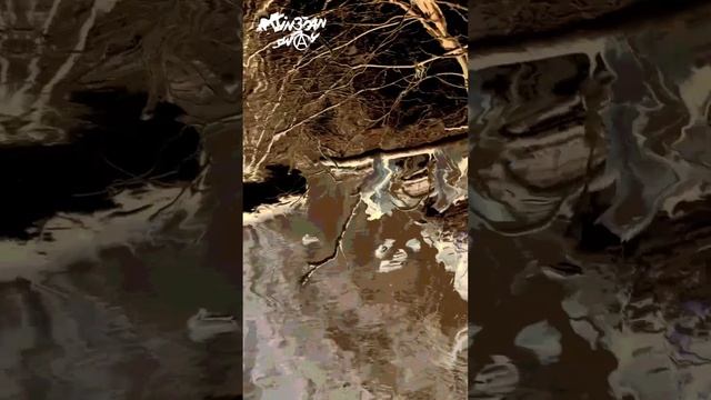 Подгород-Вятка.Народные резервы Ч-1. Клип гр Схима. Бобровая роща
