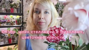 Обзор моих стеллажей и фитоламп, цветочные новости