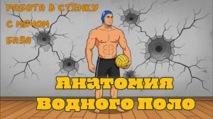Работа в стенку с мячом БАЗА-Анатомия Водного Поло