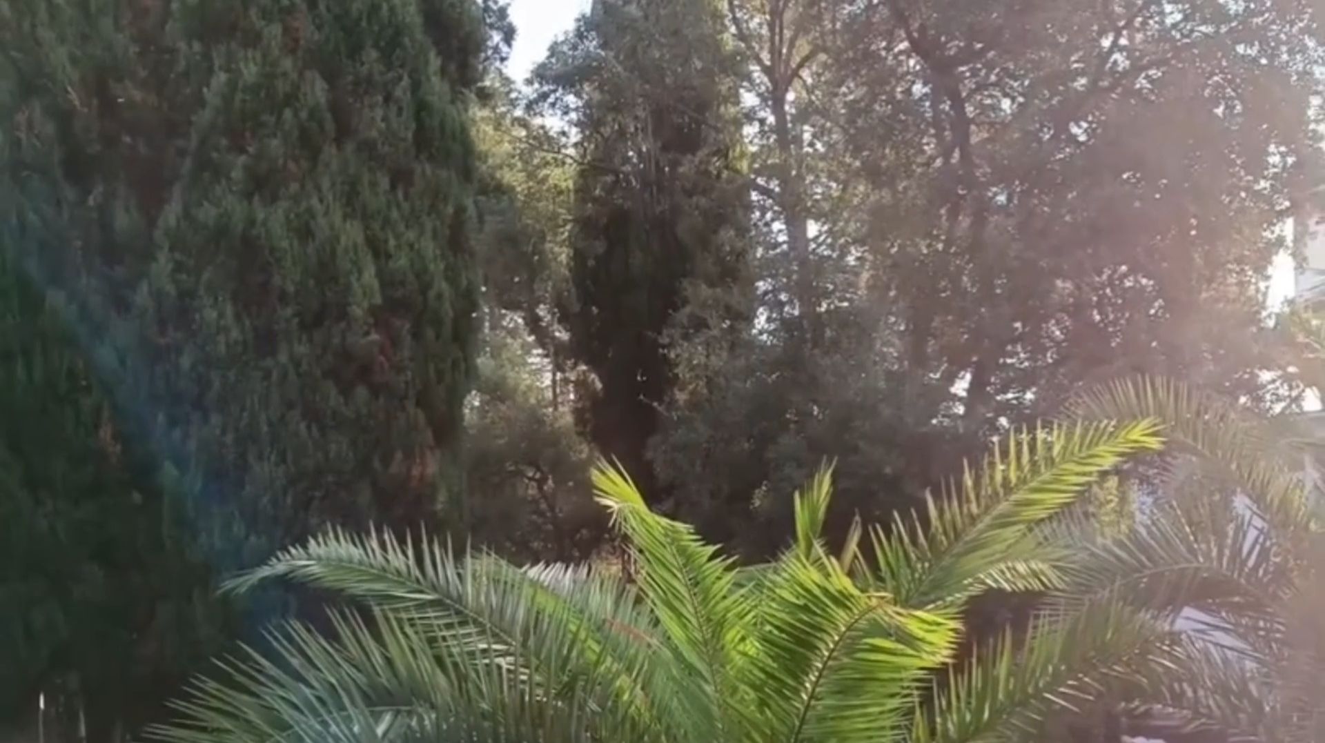 ПРИВЕТ ИЗ СОЛНЕЧНОЙ АБХАЗИИ смотреть онлайн