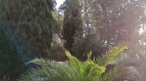 ПРИВЕТ ИЗ СОЛНЕЧНОЙ АБХАЗИИ