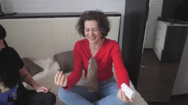 ПИТОМЕЦ СУРИКАТ  Magic Family