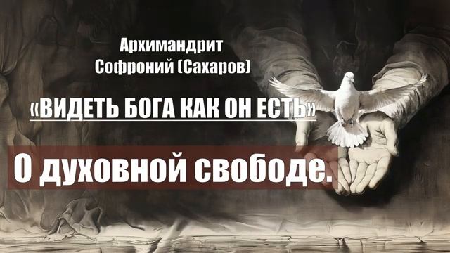Архимандрит Софроний (Сахаров) - ВИДЕТЬ БОГА КАК ОН ЕСТЬ. Глава 9. О духовной св смотреть онлайн