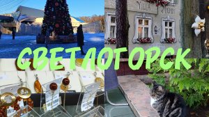 В Калининград на выходные. Часть 3. Светлогорск.