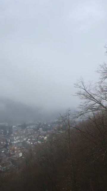 #краснаяполяна #сочи #осень2025 смотреть онлайн