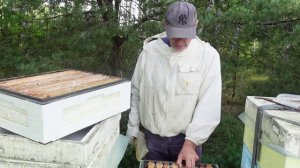 хоть какой-то да мед есть