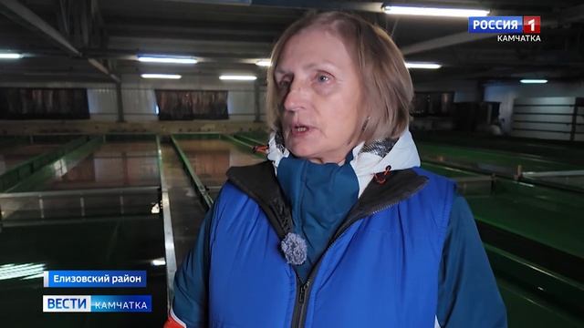 Инкубация икры кеты на ЛРЗ 