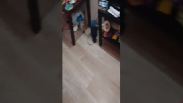 кто живет у меня дома