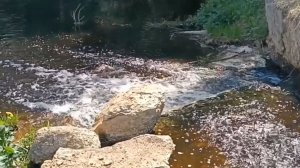 ЖУРЧАЩИЕ РУЧЬИ ВЯТКИ